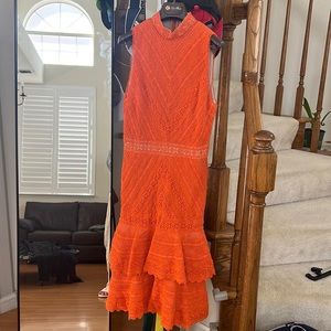 Alice Olivia lace dress